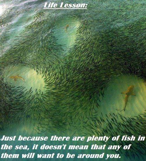 funny picdump 52 pics 12.html - 52 HD Photos | Premium Gallery 2018