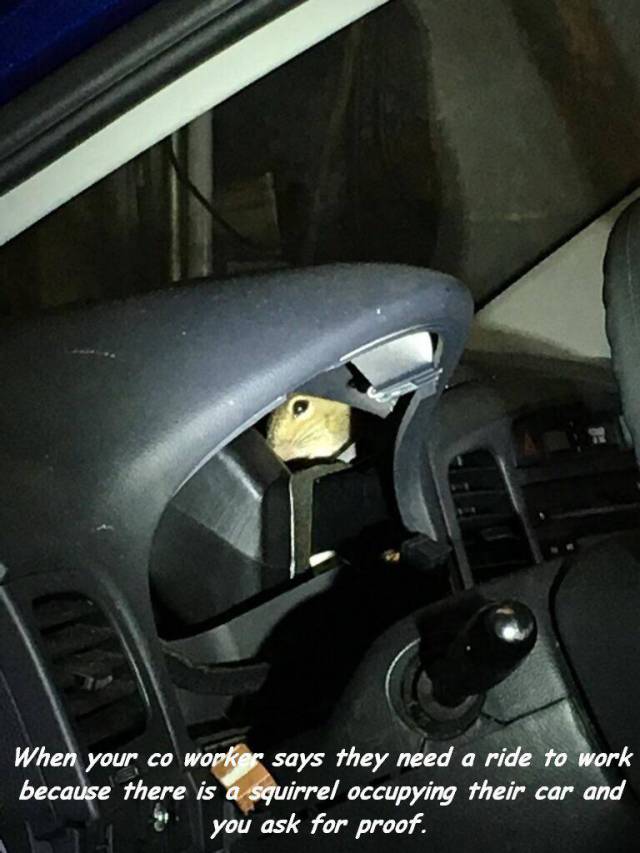 daily picdump 101 pics 44.html - 101 HD Photos | Premium Gallery 2018
