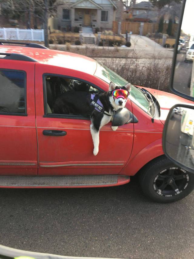 daily picdump 101 pics 44.html - 101 HD Photos | Premium Gallery 2018