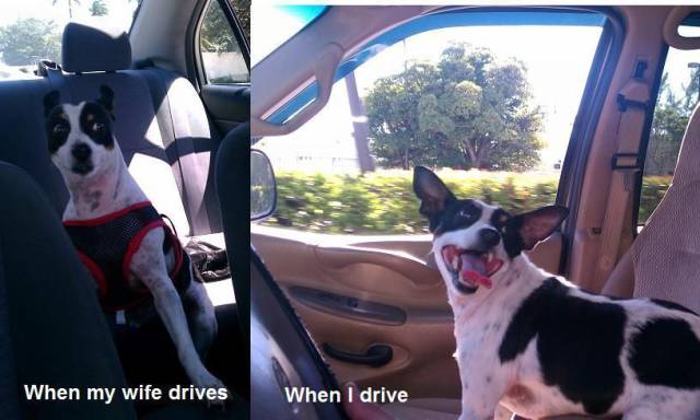 daily picdump 95 pics 38.html - 95 HD Photos | Premium Gallery 2018