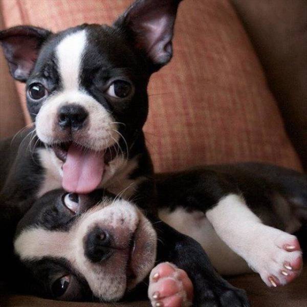 daily picdump 95 pics 38.html - 95 HD Photos | Premium Gallery 2018