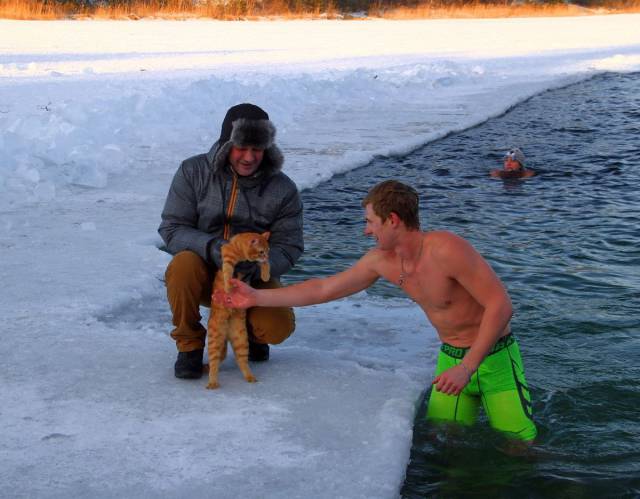 daily picdump 95 pics 38.html - 95 HD Photos | Premium Gallery 2018