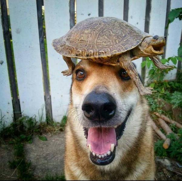 daily picdump 95 pics 38.html - 95 HD Photos | Premium Gallery 2018