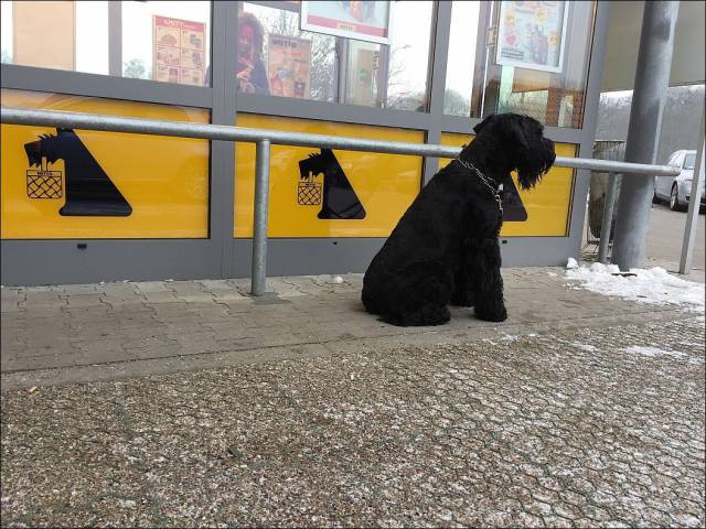 daily picdump 95 pics 38.html - 95 HD Photos | Premium Gallery 2018