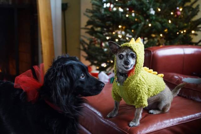 daily picdump 95 pics 38.html - 95 HD Photos | Premium Gallery 2018