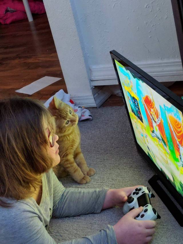 daily picdump 95 pics 38.html - 95 HD Photos | Premium Gallery 2018