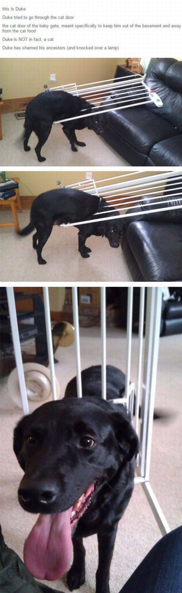 daily picdump 95 pics 38.html - 95 HD Photos | Premium Gallery 2018