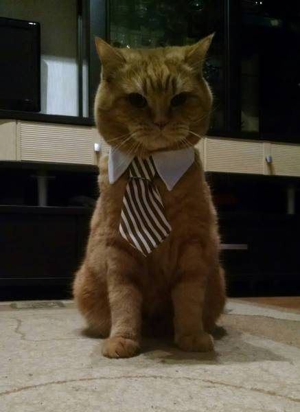 Morning Picdump