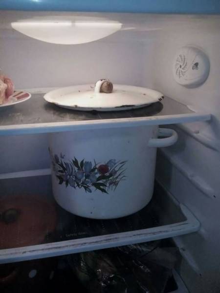 Morning Picdump