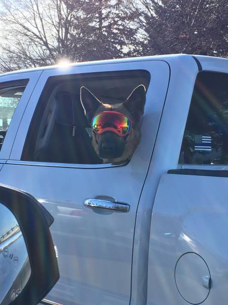 Morning Picdump
