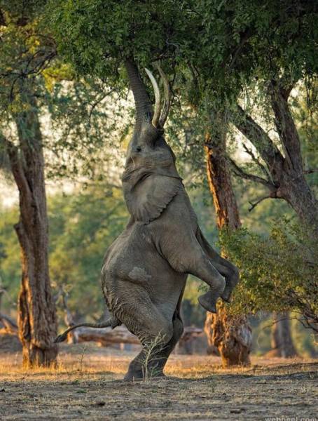 morning picdump 50 pics 17.html - 50 HD Photos | Premium Gallery 2018