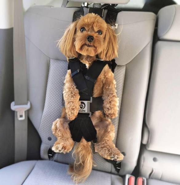 morning picdump 50 pics 17.html - 50 HD Photos | Premium Gallery 2018