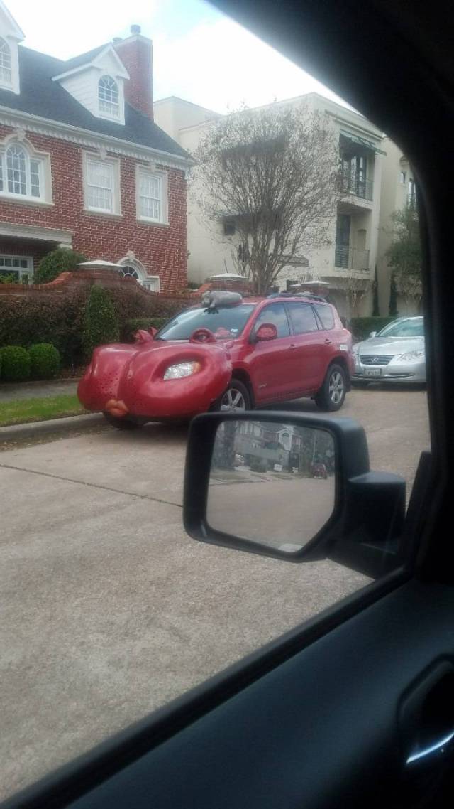 Daily Picdump [WEEKEND EDITION]
