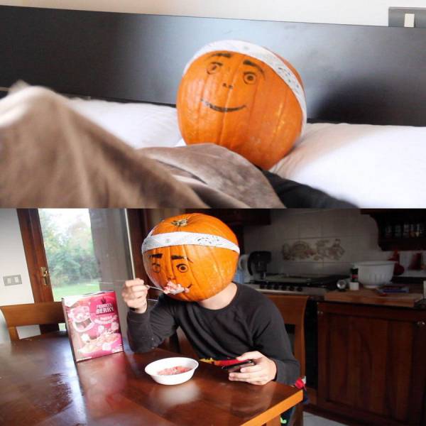 Daily Picdump