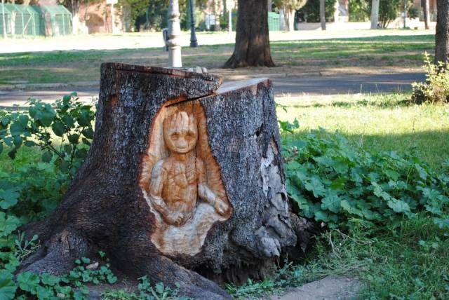 Daily Picdump