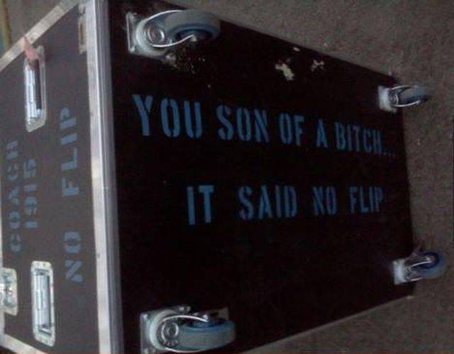 Daily Picdump