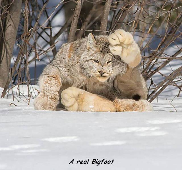 Daily Picdump