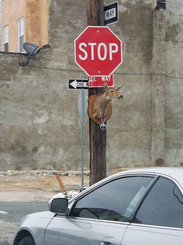 Daily Picdump