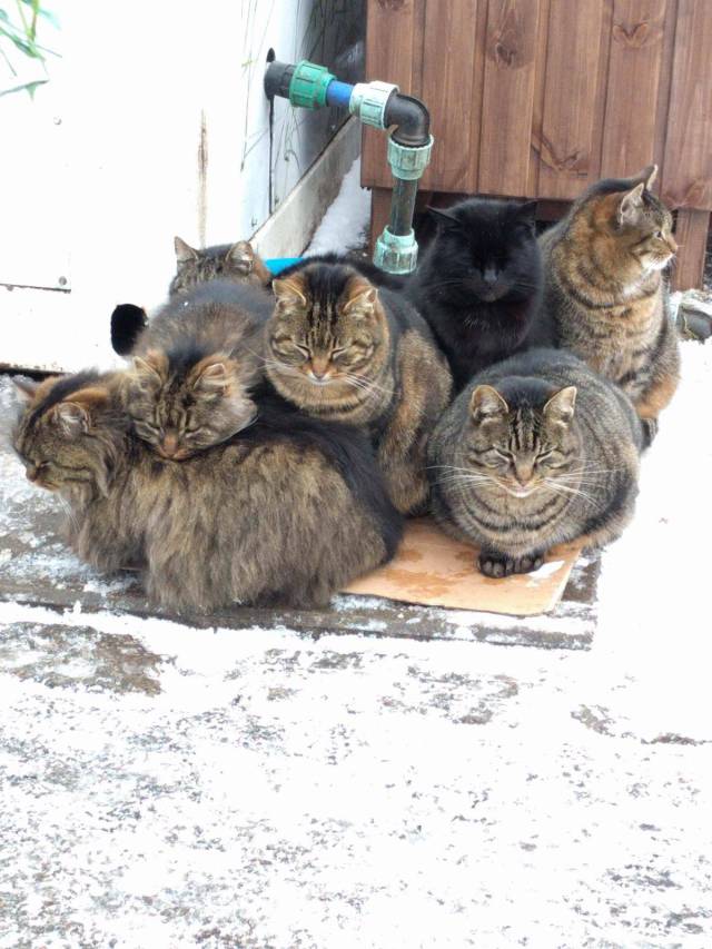 daily picdump 96 pics 35.html - 96 HD Photos | Premium Gallery 2018