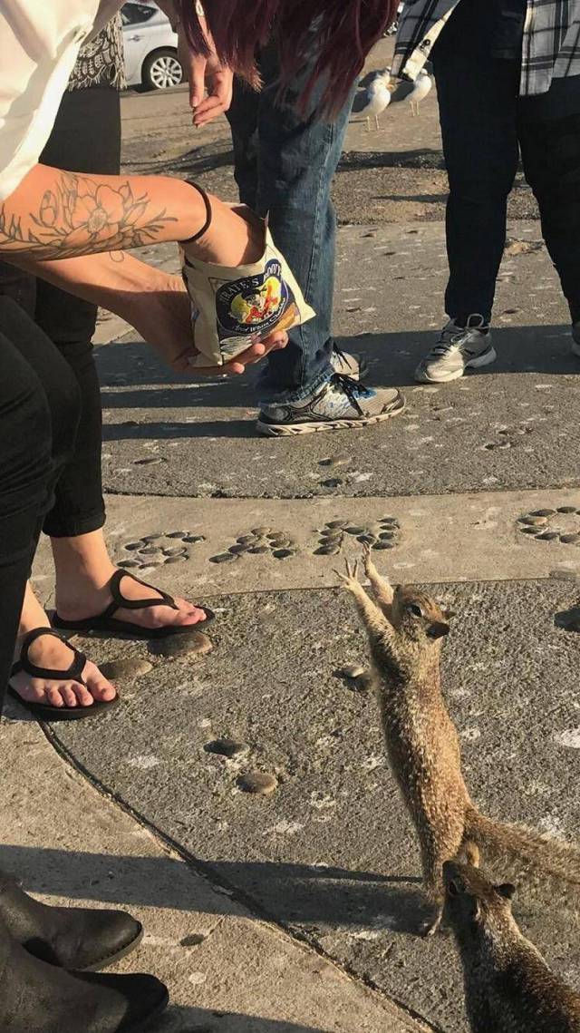 daily picdump 96 pics 35.html - 96 HD Photos | Premium Gallery 2018