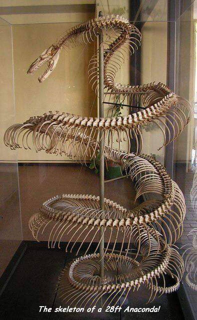 daily picdump 96 pics 35.html - 96 HD Photos | Premium Gallery 2018