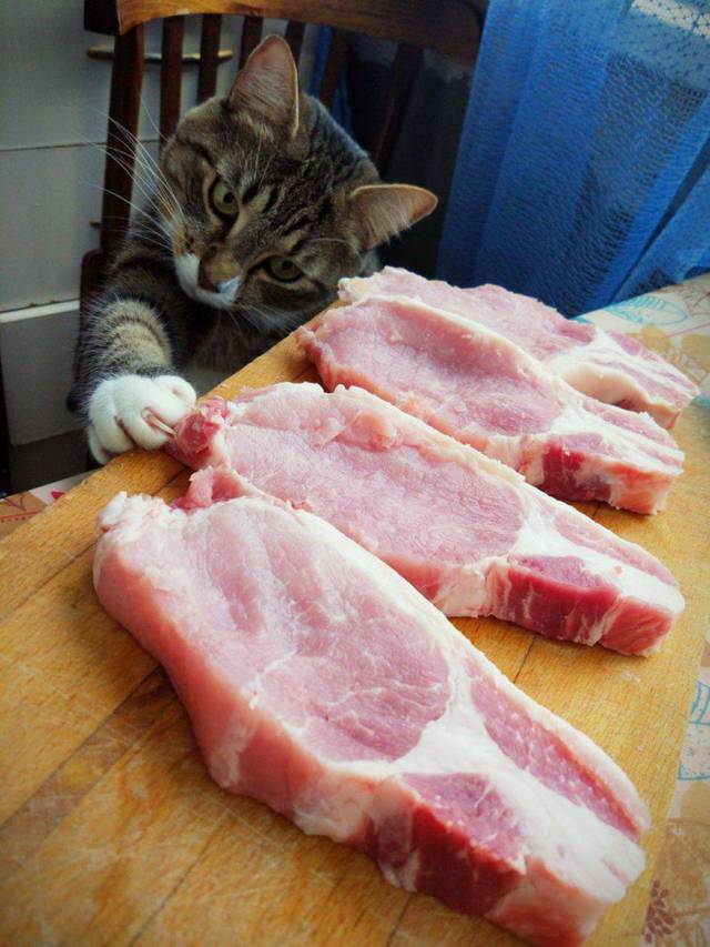 daily picdump 102 pics 2.html - 102 HD Photos | Premium Gallery 2018