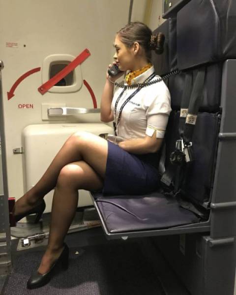 The Beauties Of The Skies