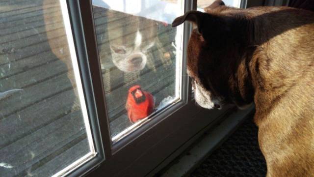 Daily Picdump