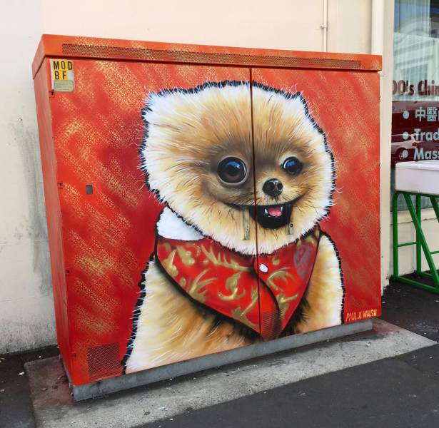 Daily Picdump