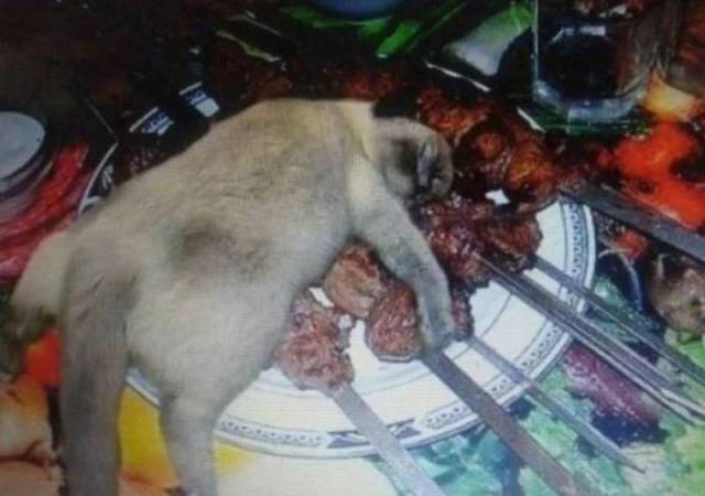 Daily Picdump