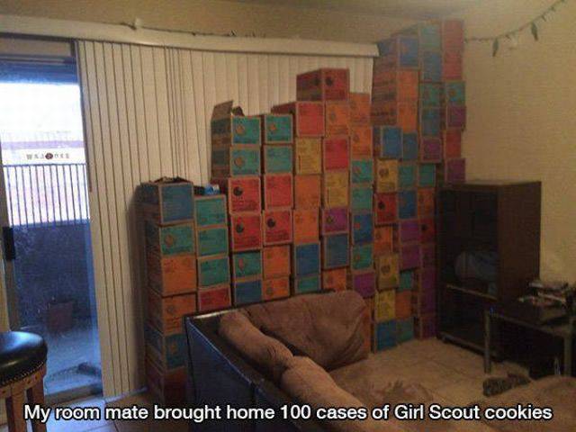 Daily Picdump