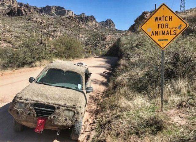 daily picdump 99 pics 2.html - 99 HD Photos | Premium Gallery 2018