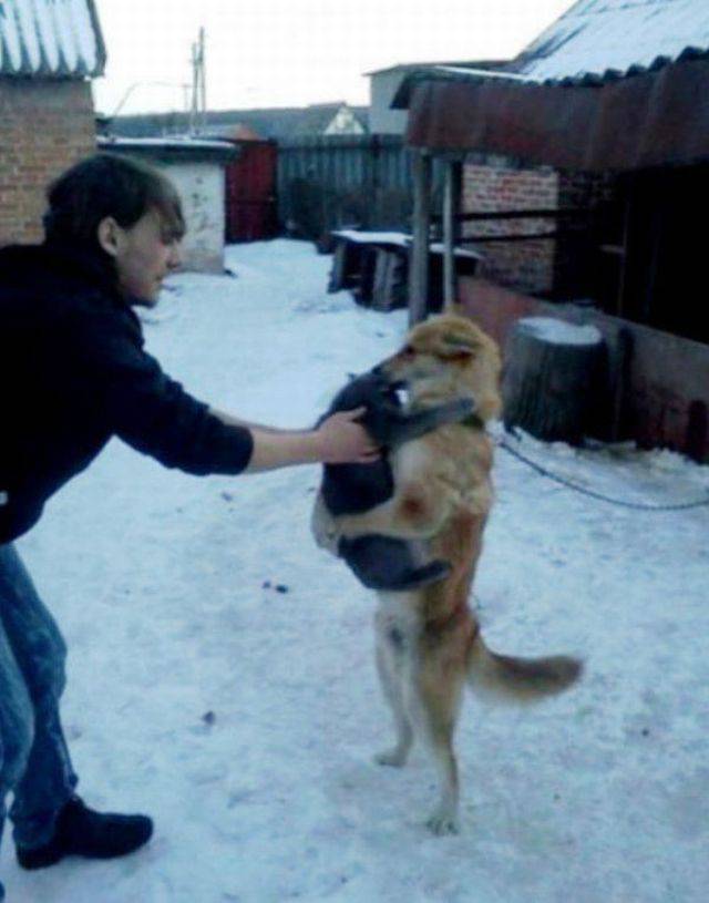 Daily Picdump