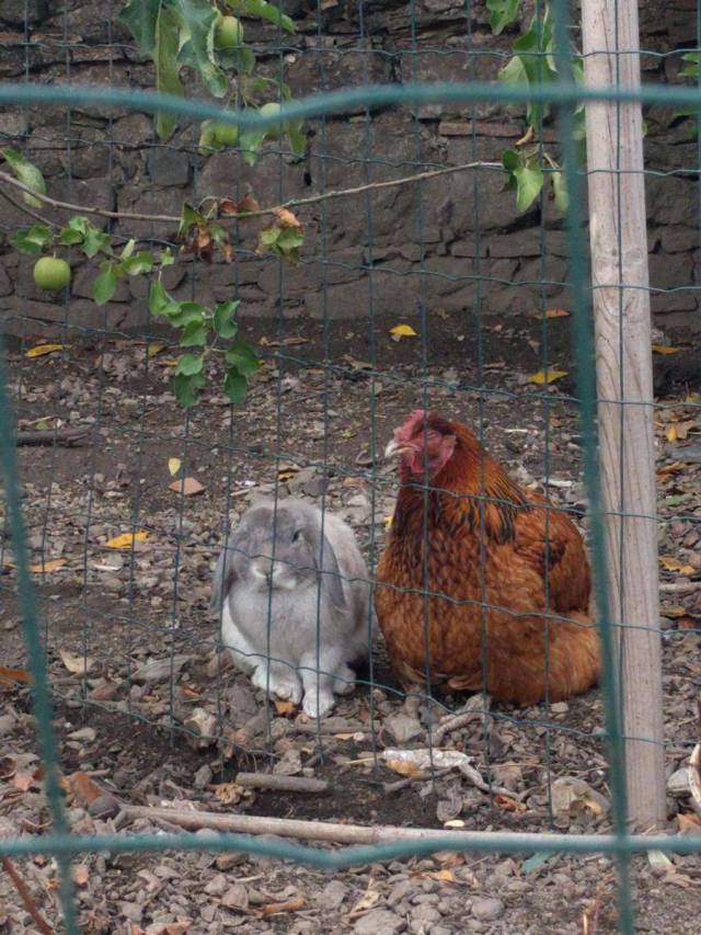 Daily Picdump