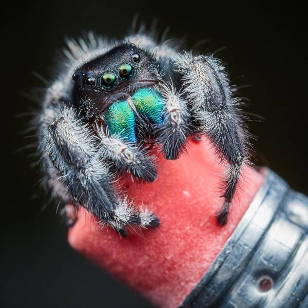 morning picdump 51 pics 12.html - 51 HD Photos | Premium Gallery 2018