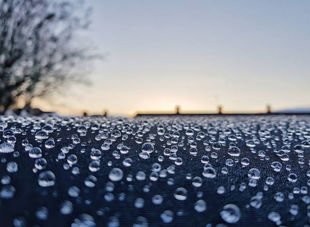 morning picdump 50 pics 3.html - 50 HD Photos | Premium Gallery 2018