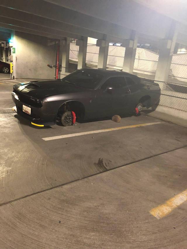 morning picdump 50 pics 3.html - 50 HD Photos | Premium Gallery 2018