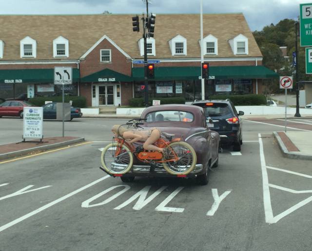 morning picdump 50 pics 3.html - 50 HD Photos | Premium Gallery 2018