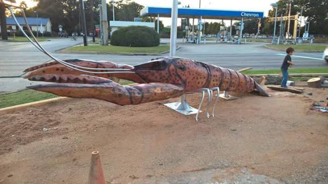 morning picdump 50 pics 3.html - 50 HD Photos | Premium Gallery 2018