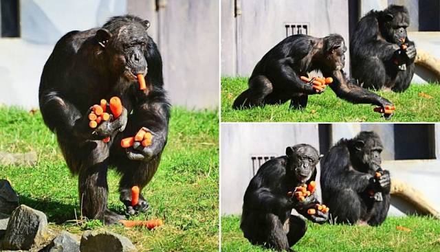 Daily Picdump