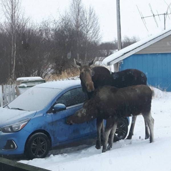 Daily Picdump