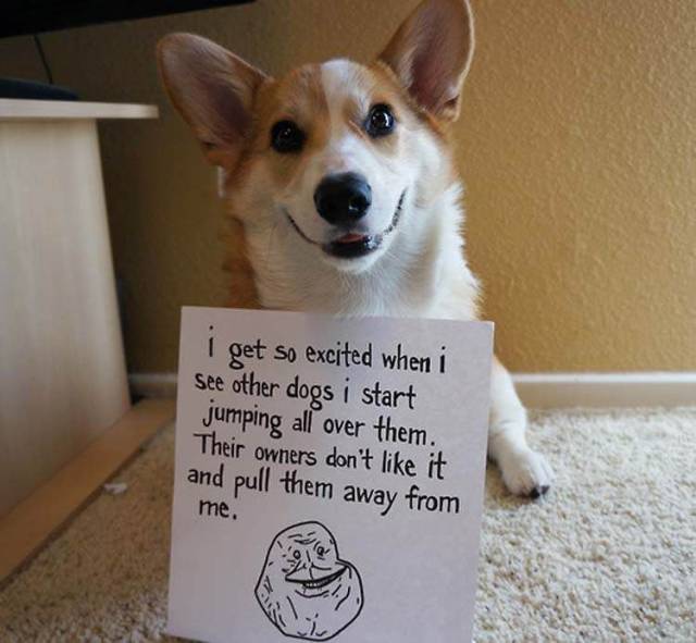 Daily Picdump