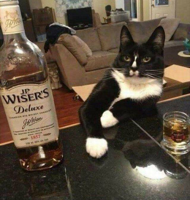 daily picdump weekend edition 68 pics 34.html - 68 HD Photos | Premium Gallery 2018