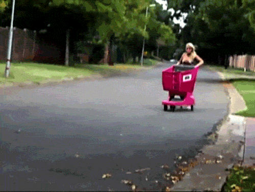 GIFs Of Stupidity At Its Finest