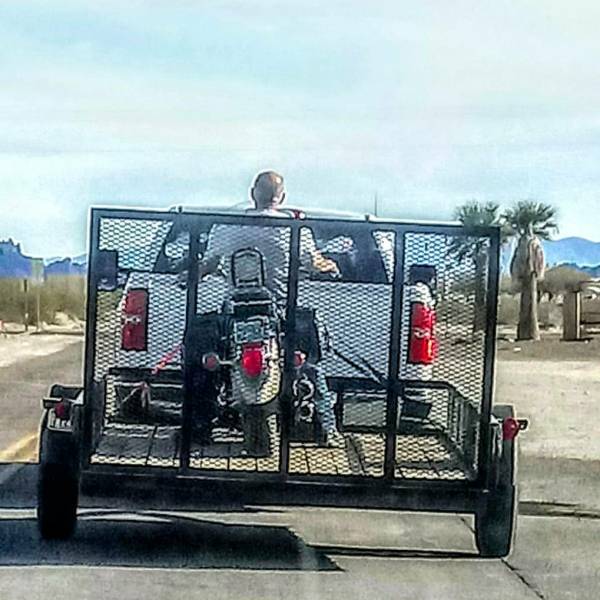 Morning Picdump
