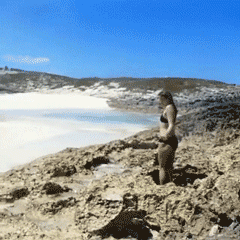 Dirty Mind, Come Here!