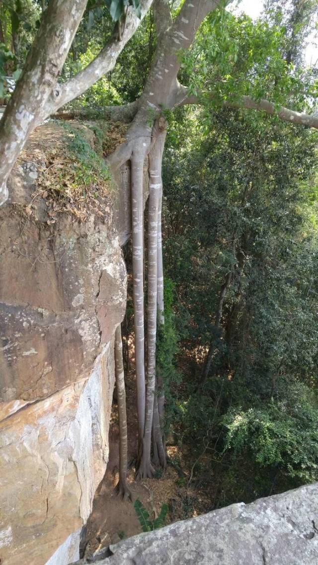 daily picdump 100 pics 6.html - 100 HD Photos | Premium Gallery 2018