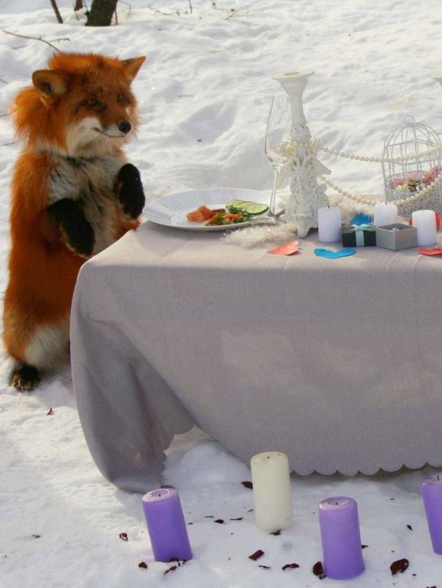 Daily Picdump