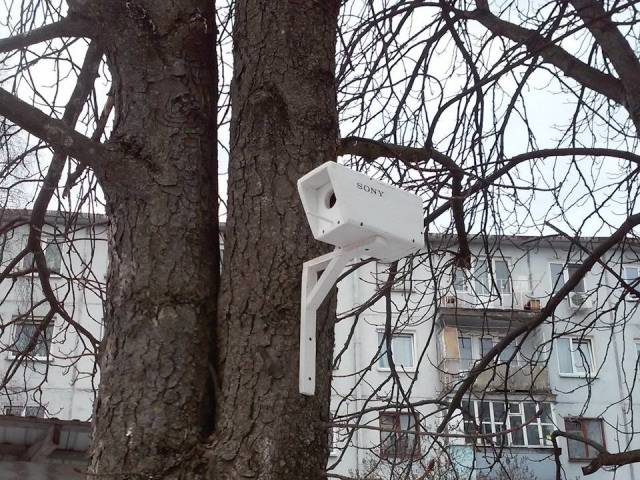 morning picdump 50 pics 4.html - 50 HD Photos | Premium Gallery 2018