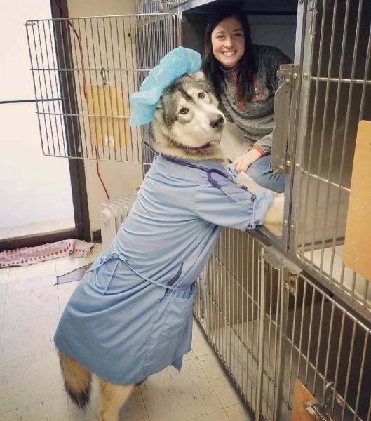 Daily Picdump [WEEKEND EDITION]